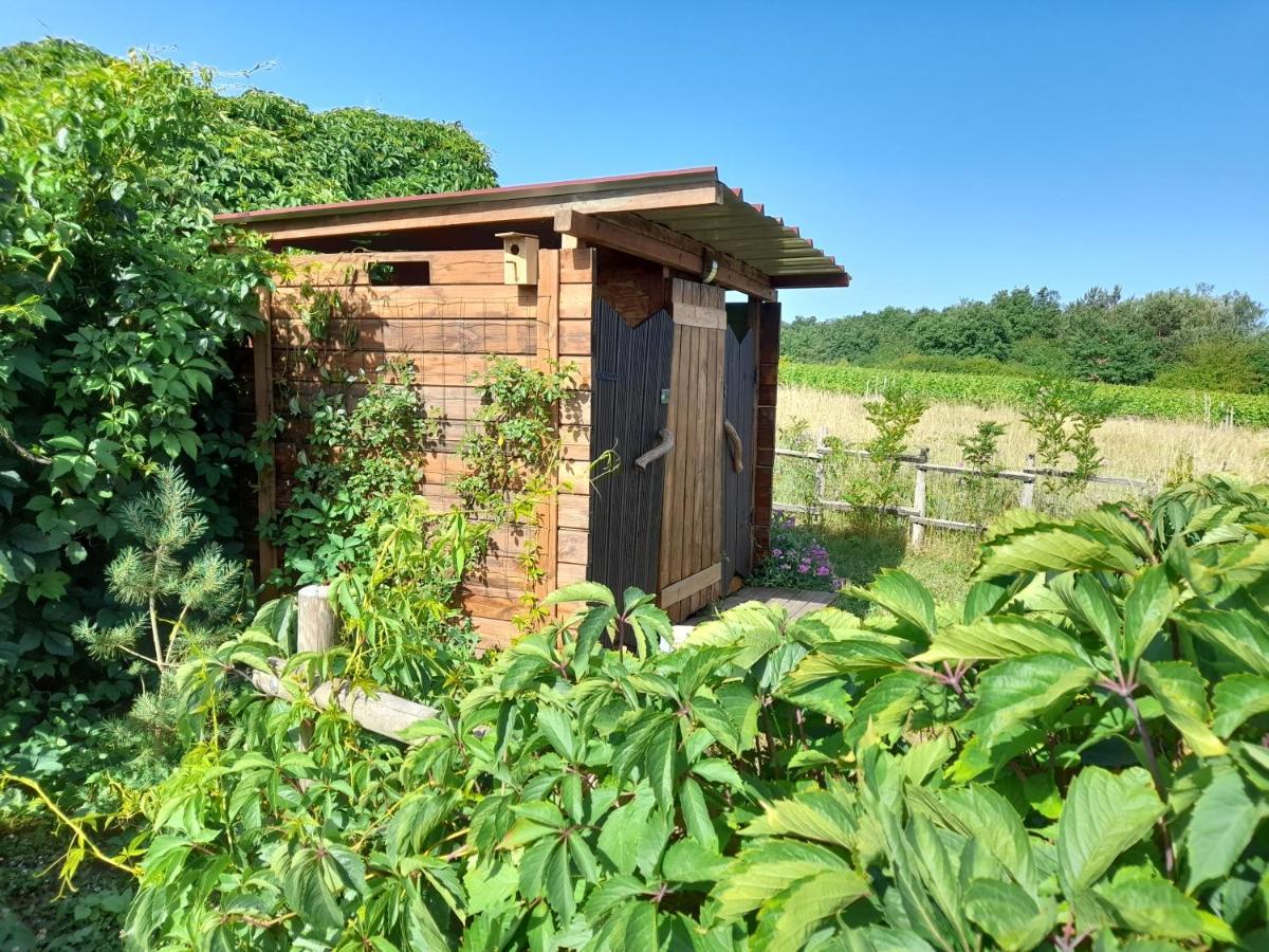 le clos de épinettes Angé Exterior foto